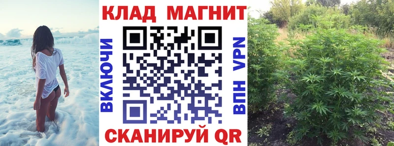 Наркошоп купить СК  COCAIN  Мефедрон  Галлюциногенные грибы  ГАШИШ  Канабис  Высоковск