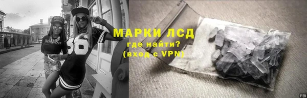 стаф Балахна