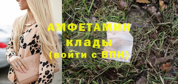 стаф Балахна