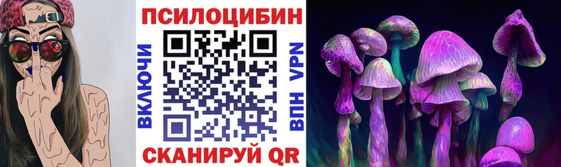 Галлюциногенные грибы Magic Shrooms  Купить закладки  Высоковск 