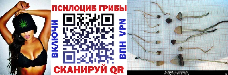 Галлюциногенные грибы ЛСД Высоковск